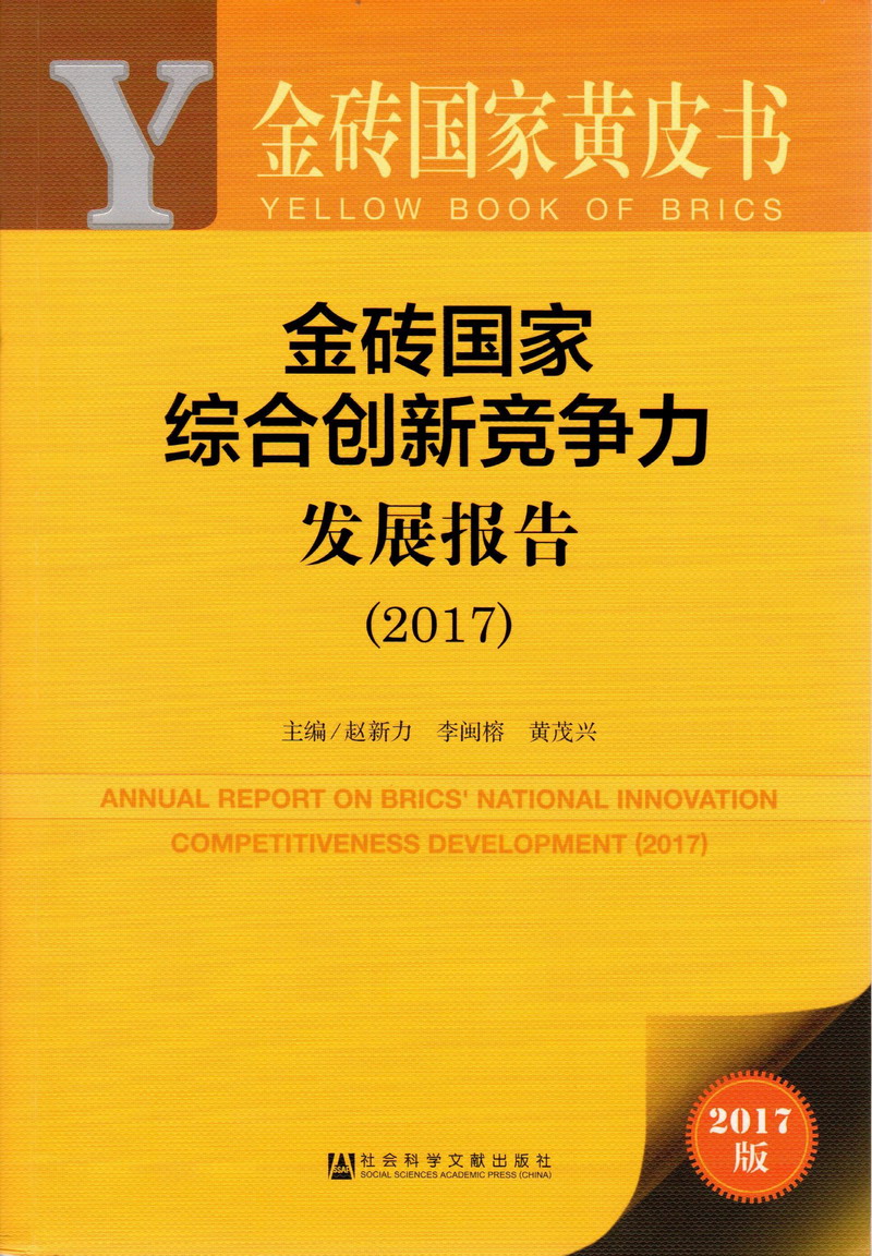 澳门大鸡巴操逼免费看金砖国家综合创新竞争力发展报告（2017）